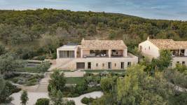 David LY - DAILY CORPO