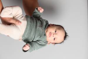 Didier FAES - DIDIER FAES