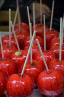 Christine LE GUYADEC - Christine LE GUYADEC